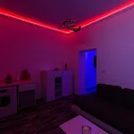 Joy City Pacha Timisoara