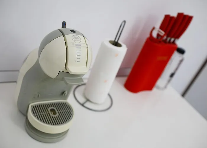 Joy City Pacha Timişoara