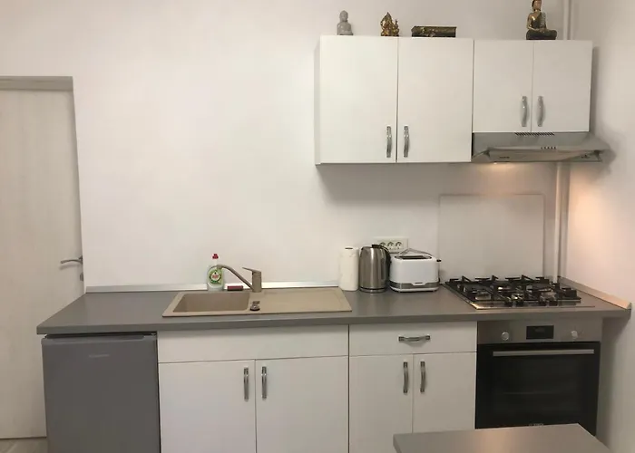 Apartment Joy City Pacha Timişoara